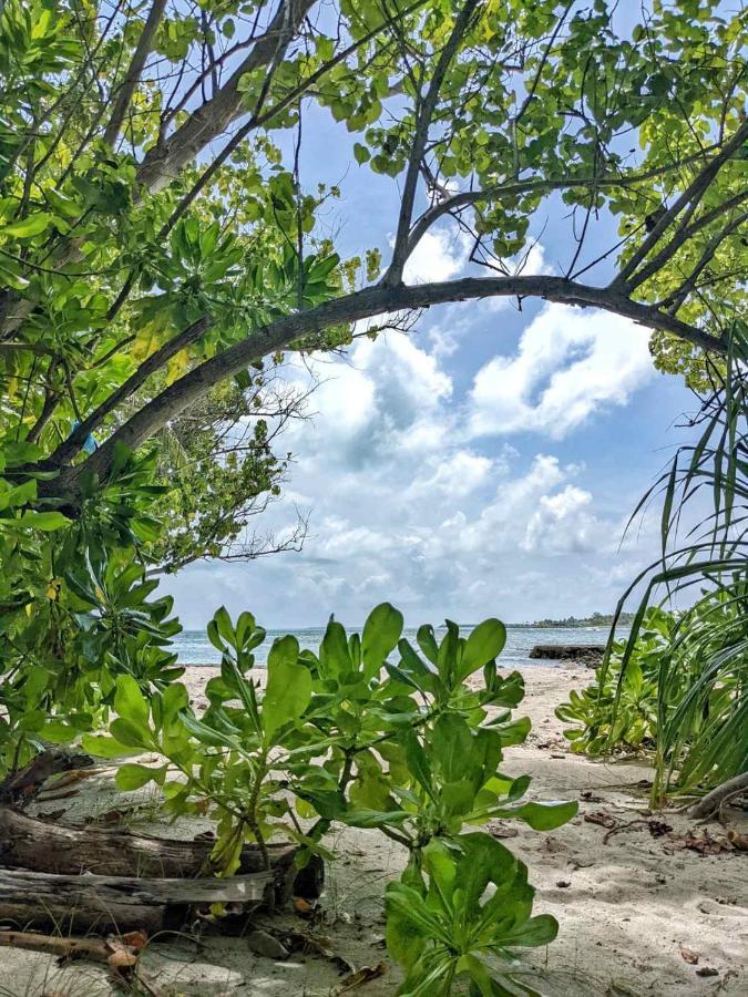 Hotel Dhoadhi Retreat Thulusdhoo Exterior foto