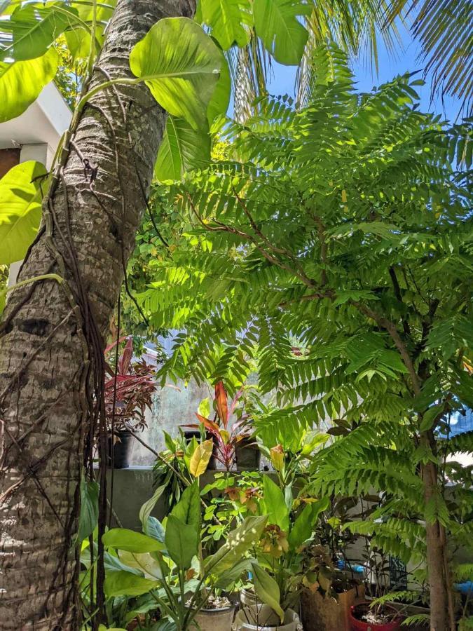 Hotel Dhoadhi Retreat Thulusdhoo Exterior foto
